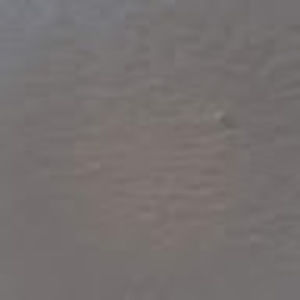 Meet your Posher, Ned